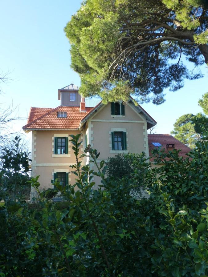 La Maison du Môle Aigues-Mortes Exterior foto