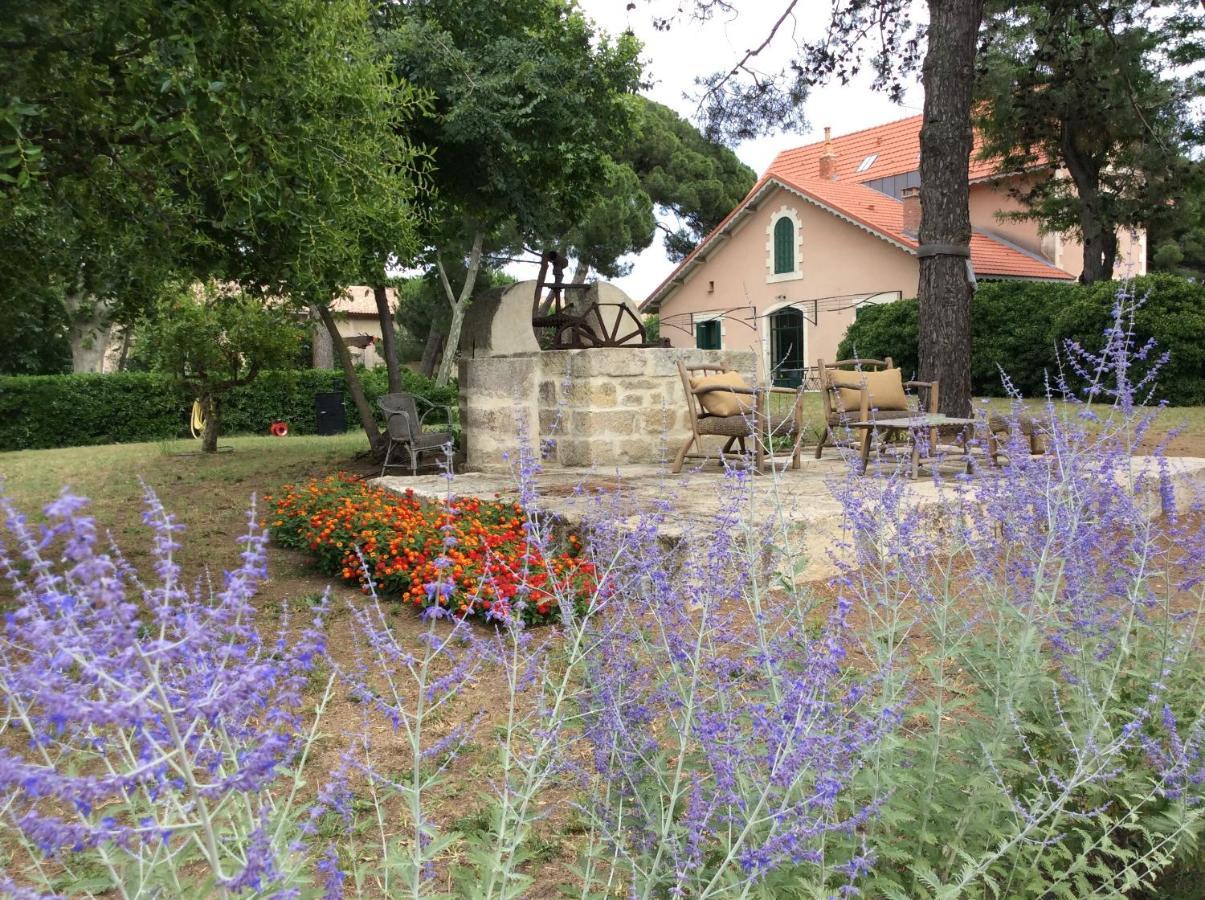 La Maison du Môle Aigues-Mortes Exterior foto